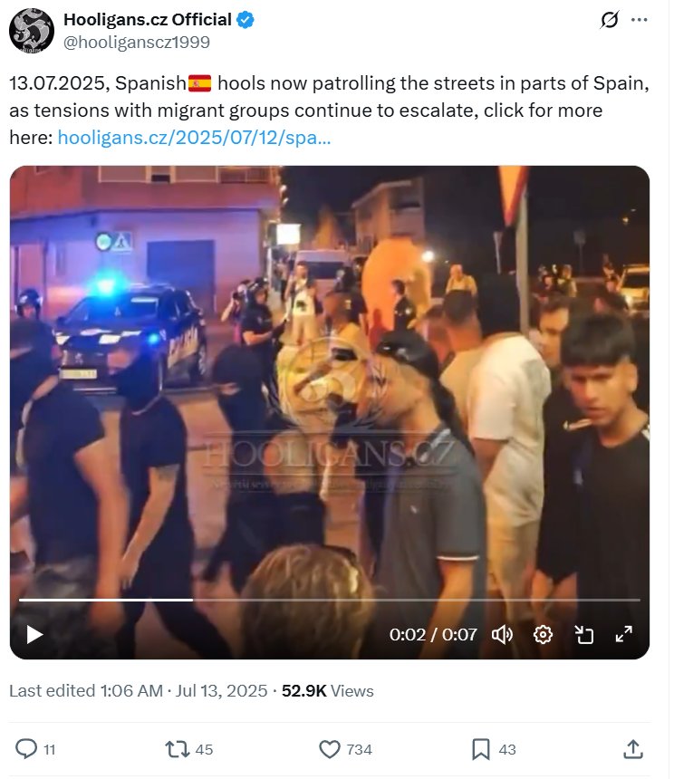 Figure: A post by a Czech based Hooligan account on X/ Twitter promoting vigilante actions in other countries.