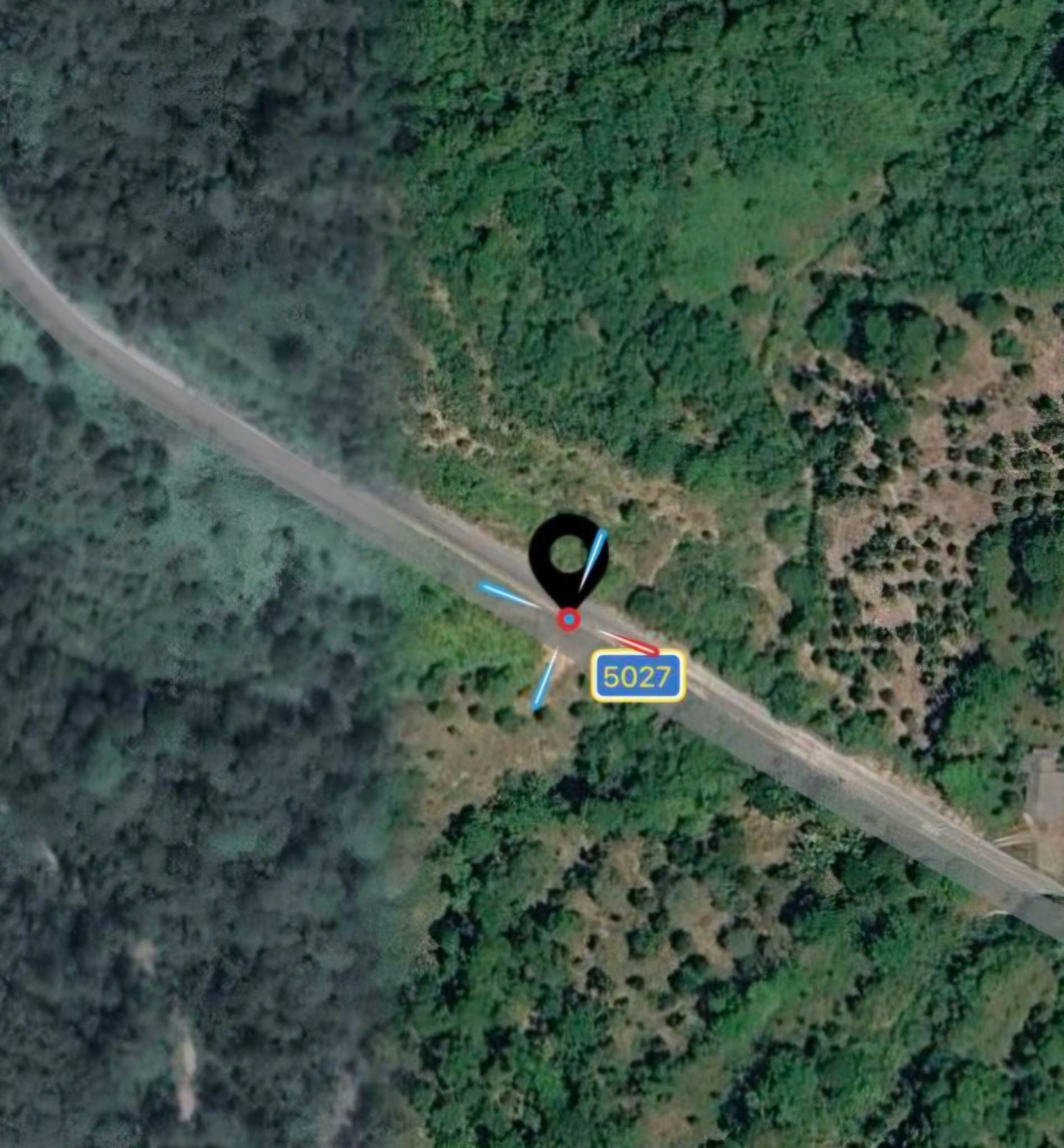 Photograph released by officials showing a roadside location with vegetation and a bend in the road where the burned vehicle was found.